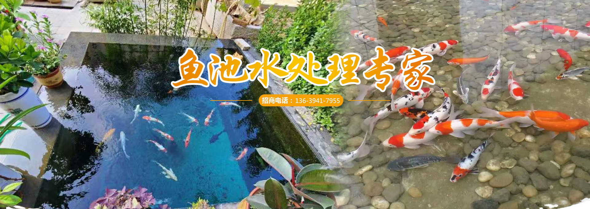 <strong>濟寧藝水芳源生態(tài)水族設(shè)備有限公司</strong>