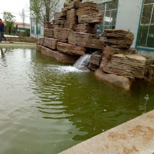 全自動(dòng)魚池凈化設(shè)備