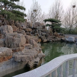 高 檔小區(qū)大型魚池凈化系統(tǒng)