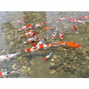 全自動循環(huán)水設(shè)備