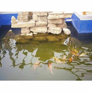 全自動循環(huán)水設備