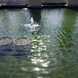 全自動循環(huán)水設(shè)備